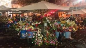 13692488_10207480944801642_5443356270469841507_n