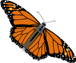 butterfly-312295_1280
