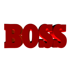 boss-432713_1280